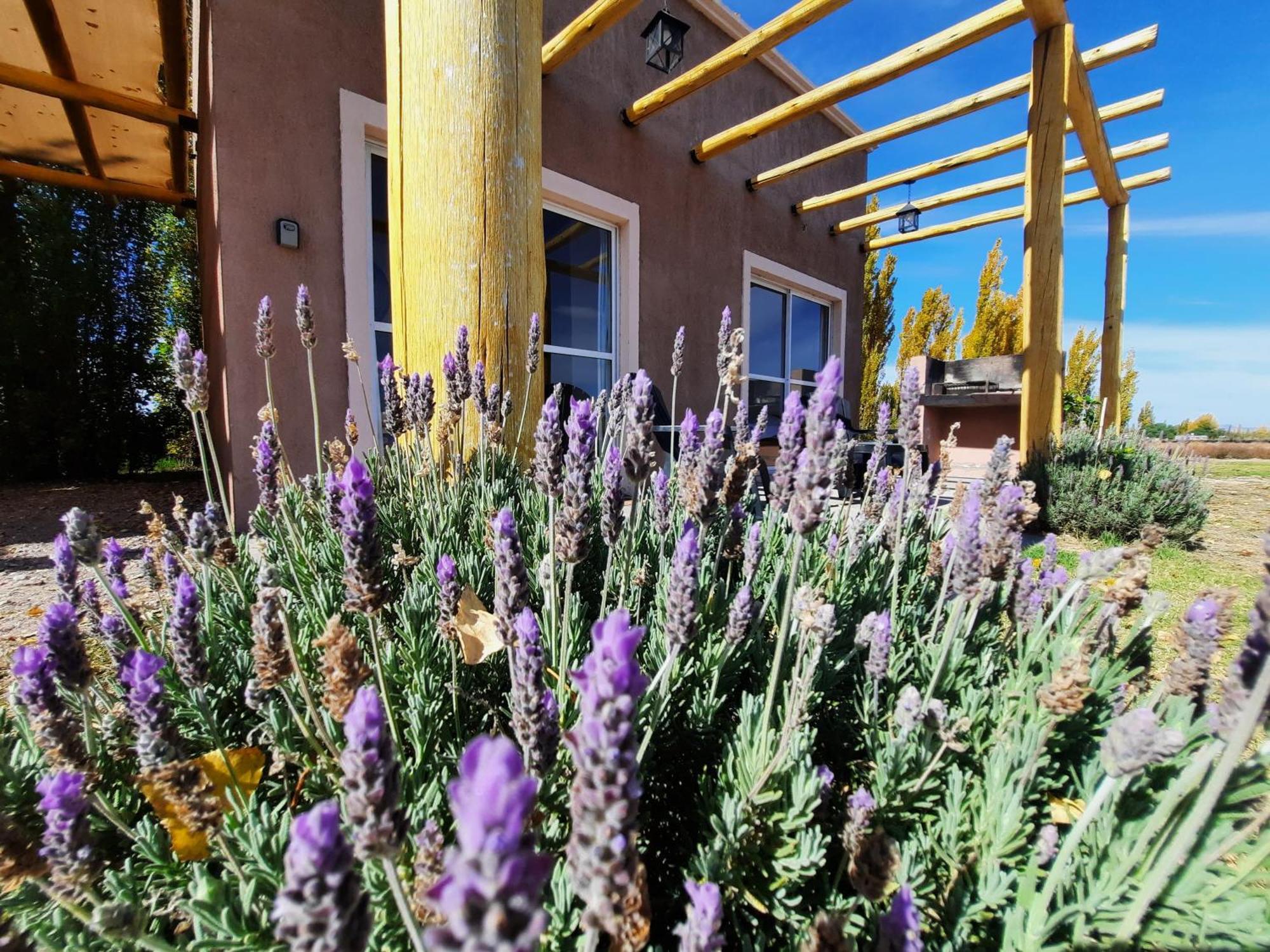 Finca Los Racimos - Casa Syrah Villa San Rafael  Exterior photo